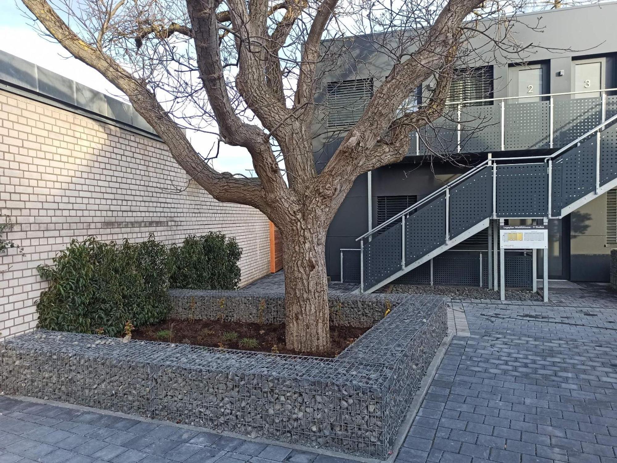 Xzllenz Traum Studio-Apartment, Frei-Parken, U-Bahn, Kueche Núremberg Exterior foto